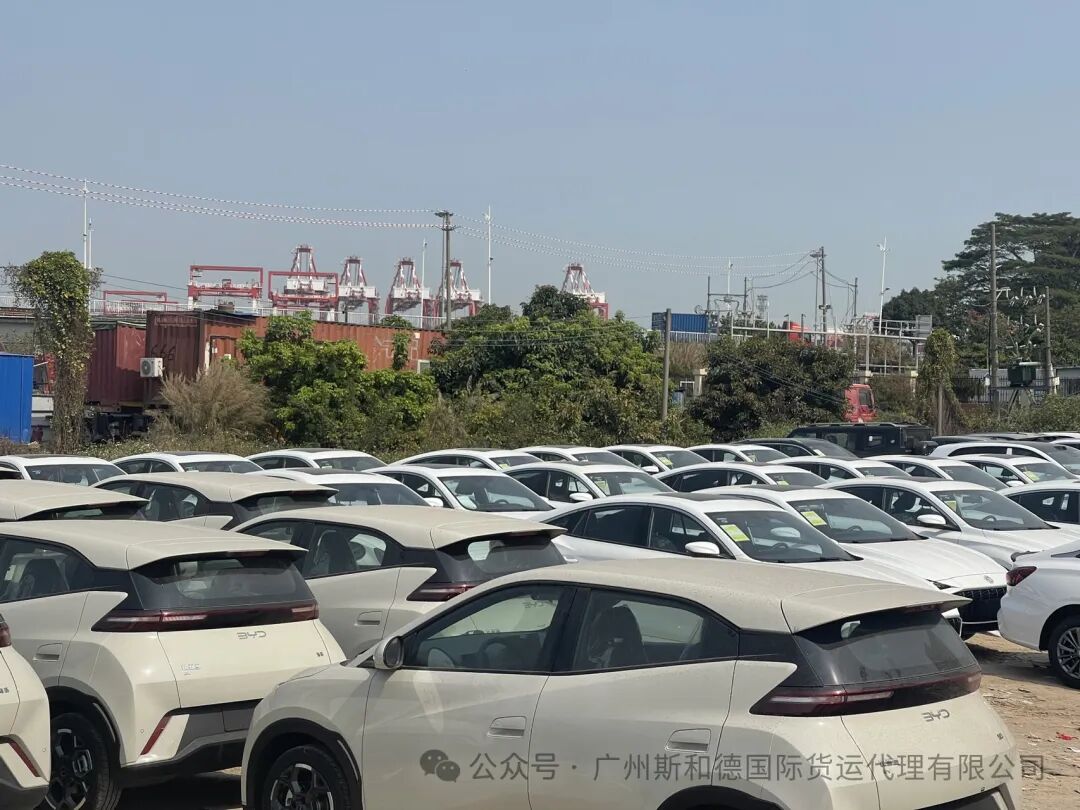 আফ্রিকাতে নিরাপদ যানবাহন মহাসাগরের মালবাহী
